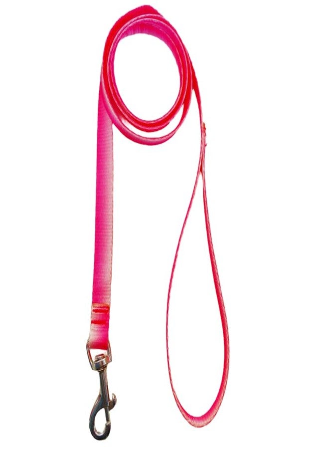 KittuPet Dog Harness and Leash Set, Cute Dog Harness with Leash for Small, Medium and Large Dogs, Girl Female and Boy Dog Harness, Pink White - Harness Set, M - Image 3
